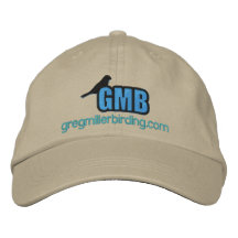 Logotipo coloreado gorra básico 2x de GMB Gorra De Beisbol