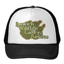 logotipo del iwcr gorras