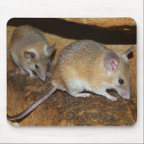 Lol real de Mousepad ....... alfombrillas de raton 