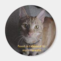 LOLmagnet Imanes Para Frigoríficos