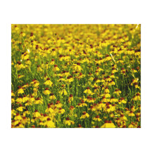 Lona amarilla de la foto de los Wildflowers del ca Lona Estirada Galerias