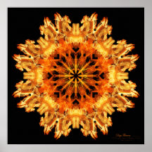 Lona ArtPrint 080902.52.mv 99.2.2.2 de "DigiFlower Poster