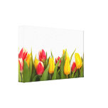Lona colorida de la fotografía del tulipán impresiones en lienzo estiradas