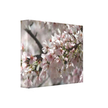 Lona de las flores de cerezo impresiones en lienzo estiradas