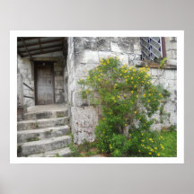 Lona de Montpelier Jamaica de los pasos de la igle Posters