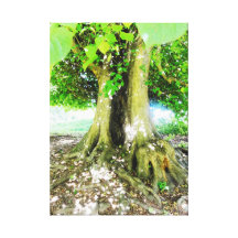 Lona del árbol del verano lona envuelta para galerias