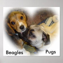 Lona del beagle y del barro amasado posters