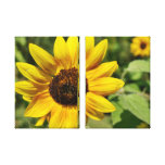 Lona del placer del girasol lienzo envuelto para galerias