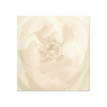 Lona envuelta del rosa blanco impresion de lienzo