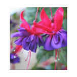 LONA ENVUELTA - Fuschias fabuloso Impresiones En Lona Estiradas
