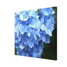 Lona - envuelta - Hydrangea azul Impresiones En Lona