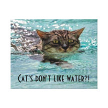 Lona envuelta natación del gato lona estirada galerias