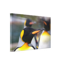Lona envuelta pájaro del pingüino impresión en lienzo estirada
