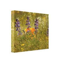 Lona envuelta prado del Wildflower Impresión En Lienzo Estirada