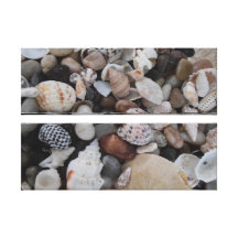 Lona envuelta Seashell (2 apilados) Impresiones En Lona