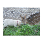 Lona estirada; Perrito y foto de Bambi Impresion De Lienzo