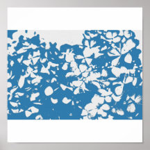 lona mate 11x11 del hydran posters