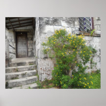 Lona P de Montpelier Jamaica de los pasos de la ig Impresiones