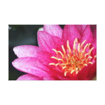 Lona rosada de la flor impresion de lienzo