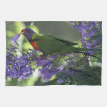 Lorikeet hermoso toalla