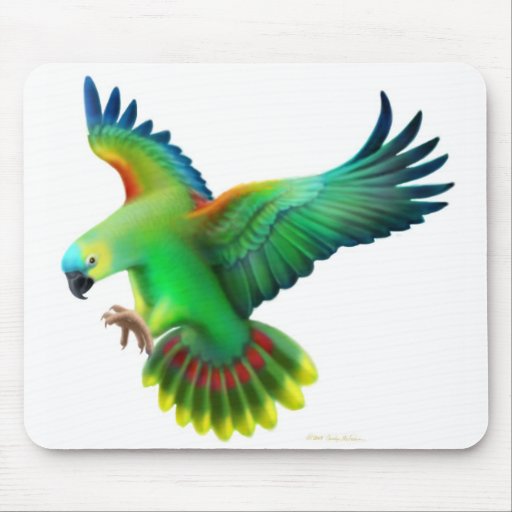 Loro afrontado azul Mousepad del Amazonas Alfombrillas De Ratones