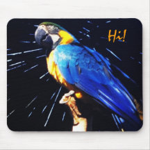 Loro azul y amarillo   Mousepad