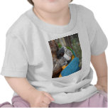 Loro de Jamaica Camisetas