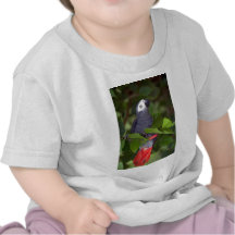 Loro del gris africano camiseta