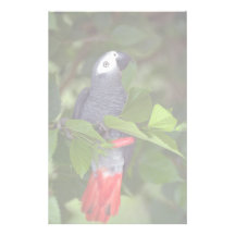 Loro del gris africano papelería personalizada