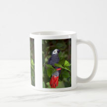 Loro del gris africano taza