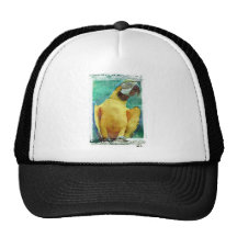 Loro del Macaw Gorras