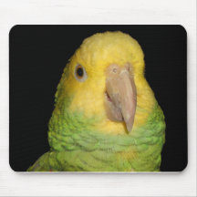 Loro doble de Yellowhead el Amazonas Alfombrilla De Ratones