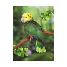 Loro doble de Yellowhead el Amazonas Lona Envuelta Para Galerias