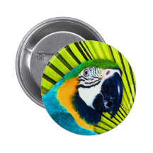 Loro en palmera pins