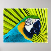 Loro en palmera poster