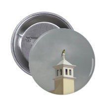 Loro encima del edificio pins