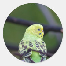 Loro Etiquetas Redondas