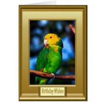 Loro verde capítulo tarjeta