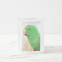 Loro verde tazas de café