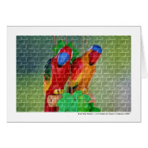 Loros de la pared de ladrillo felicitacion 