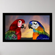 LOROS HÍPERES/ARA ROJO Y AZUL IMPRESIONES