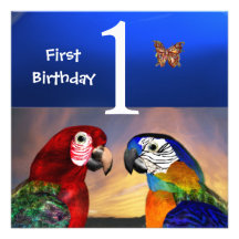 LOROS HÍPERES/primero fiesta de cumpleaños Comunicado Personalizado