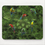 Loros tropicales de la selva del KRW Alfombrilla De Raton