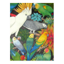 Loros y postal tropicales de Bromeliads