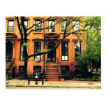 Los árboles crecen en Brooklyn Tarjetas Postales