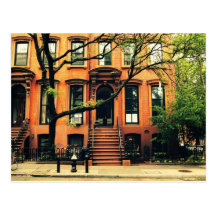 Los árboles crecen en Brooklyn Tarjetas Postales