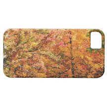 Los árboles de Nueva Inglaterra, colores de la caí iPhone 5 Case-Mate Cárcasas