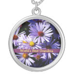 Los asteres del otoño personalizaron el collar