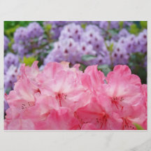 Los aviadores de encargo crean las flores florales tarjetas informativas