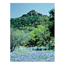 Los Bluebonnets, Llano, Tejas, los E.E.U.U. florec Postales